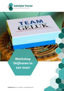 Brochure Workshop Drijfveren in een team